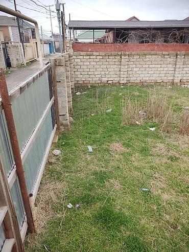 sabuncuda: 4 sot, Tikinti, Mülkiyyətçi, Kupça (Çıxarış) — 2