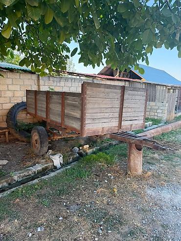 Lapetlər: T40 traxtor satılır 2 dənə lapet birdə çala çıxaranla birlikdə traxdor -da lalafo.az — 12 Lapetlər: T40 traxtor satılır 2 dənə lapet birdə çala çıxaranla birlikdə traxdor — 12