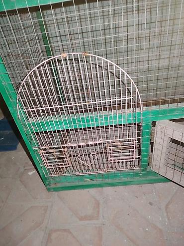 Qəfəslər: Quşlar üçün iri ölçülü qəfəs. Metal tor və yaşıl rəngli möhkəm — 4
