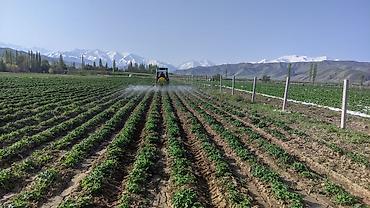 Другие специальности: Талаа иштерине Байкелер, Жигиттер керек суугатка. Кулпунай, Малина — 10