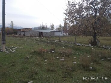 Сельхоз предприятия: Продаю Кошара, 50 соток, Действующий, Частично с оборудованием — 18