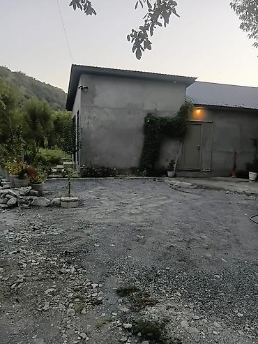 Bağ evlərinin kirayəsi: 100 kv. m, 3 otaqlı, Hovuzlu, İşıq — 11
