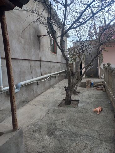 Həyət evləri və villaların satışı: 4 otaqlı, 3500 kv. m, Kredit yoxdur, Yeni təmirli -da lalafo.az — 7 Həyət evləri və villaların satışı: 4 otaqlı, 3500 kv. m, Kredit yoxdur, Yeni təmirli — 7