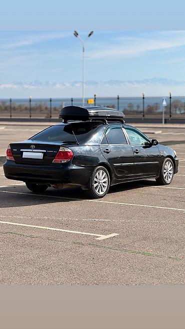 Toyota: Toyota Camry: 2004 г., 2.4 л, Автомат, Газ, Седан — 4