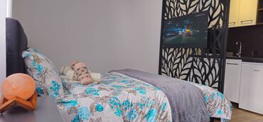 Turizam i odmor: Cera luxe studio 1 i 2 Sokobanja. za goste istančanog ukusa. strogi — 11