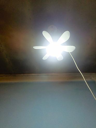 tavan üçün taxta: Led Çılçıraq, 1 lampa, Plastik — 1