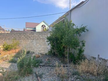 xudu məmmədov küçəsi: 6 sot, Tikinti, Kupça (Çıxarış)