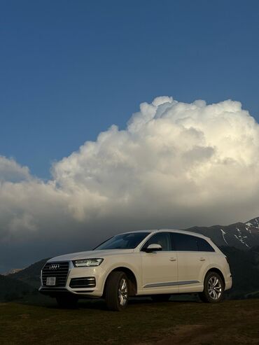 Audi: Audi Q7: 2019 г., 2 л, Типтроник, Бензин, Кроссовер — 10