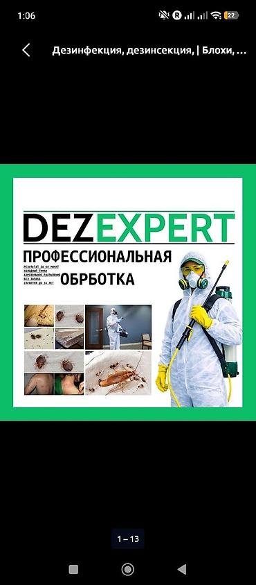 Дезинфекция, дезинсекция, | Тараканы, | Квартиры at lalafo.kg Дезинфекция, дезинсекция, | Тараканы, | Квартиры