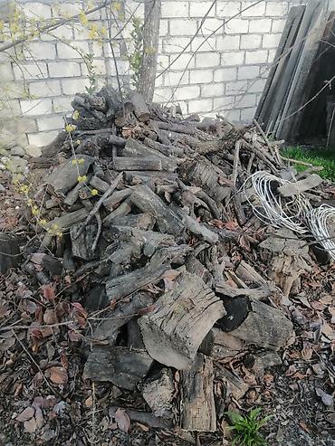təbii yolka ağacı: Quru odun – qarışıq ölçülərdə kəsilmiş kötük və budaqlar - Təbii — 1