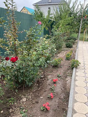 Продажа коттеджей и домов: Продаётся уютный дом в ж/м Ынтымак (ул. Стадионная) Предлагается к — 10