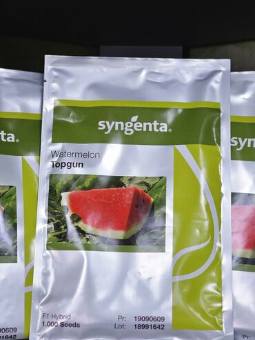 Овощи: Семена овощей: Помидоры, Огурцы, Лук, Самовывоз, Бесплатная доставка, Платная доставка — 23