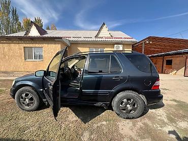 Mercedes-Benz: Mercedes-Benz M-Class: 2003 г., 3.2 л, Бензин, Внедорожник — 8