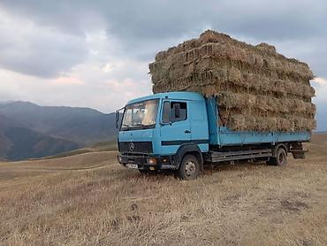саната уф: Mercedes-Benz : 1997 г., 6 л, Механика, Дизель, Универсал — 2
