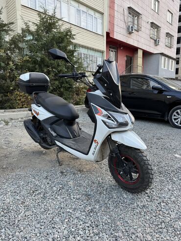 муравей мотоцикл новый: Скутеретта Alpha, 150 куб. см, Бензин, Жаңы