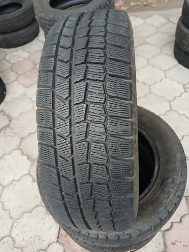 Шины: Шины 195 / 65 / R 15, Б/у, Комплект, Легковые, Япония, Dunlop