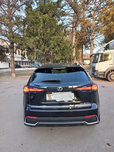 хайландер 2019 гибрид: Lexus NX: 2019 г., 2 л, Автомат, Гибрид, Кроссовер — 6