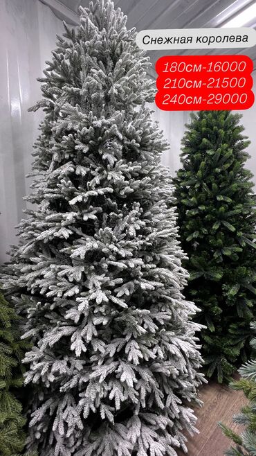 кыргыз кийимдери: Запускаем акцию ‼️на литую голубую ель🌲 Елочка как в Pinterest ✨✨✨