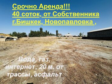 сниму дом новопавловка: 40 соток Бизнес үчүн