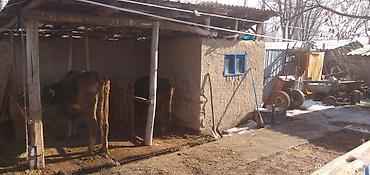 Продажа коттеджей и домов: Продается Дом 4-х комнатный В селе Степное Жайылский Р зал большой в — 2