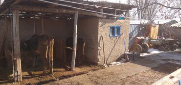 Продажа домов: Дом, 75 м², 4 комнаты, Собственник, Косметический ремонт — 11