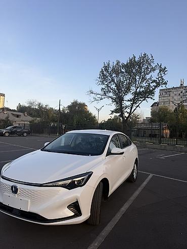 обмен доплачу: Changan Eado: 2025 г., Автомат, Электромобиль, Седан — 3
