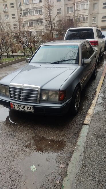 ищу мерс: Mercedes-Benz 230: 1990 г., 2.3 л, Механика, Бензин, Седан