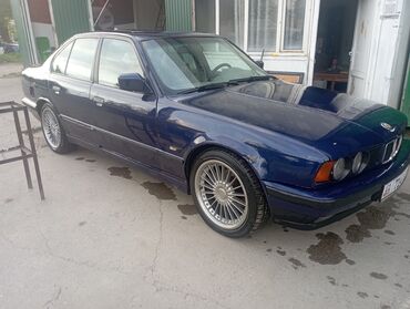 BMW: BMW 5 series: 1992 г., 2 л, Автомат, Бензин, Седан