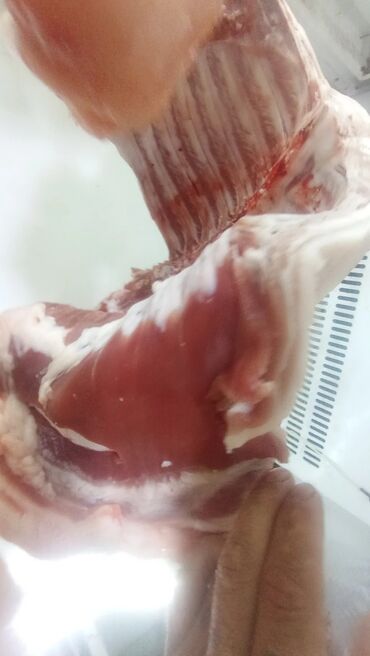 Ət: Məhsul: Qaban (donuz) əti – karkas və hissələr
və sala 7 manat — 9