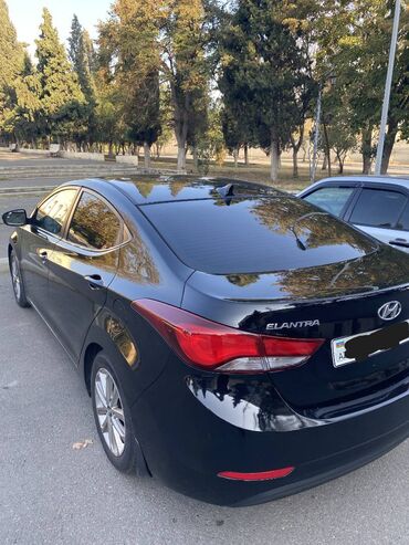 Hyundai: Hyundai Elantra: 1.8 l | 2015 il Sedan — 15