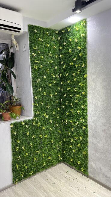 Digər ev dekoru: 6 man baslayan qiymetler — 19