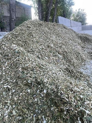 хлеб кормовой: Кукурузный сенаж в фасованных мешках лудший корм все чодко делаем - — 4