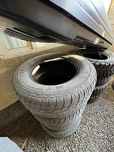 Шины и диски: Комплект шин Maxxis Bravo HP-M3 - Тип: летние/шоссейные (узор — 1