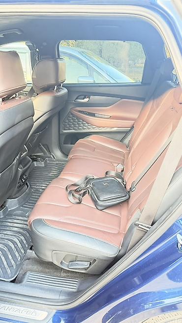 галлопер 2: Hyundai Santa Fe: 2019 г., 2 л, Автомат, Бензин, Кроссовер — 6