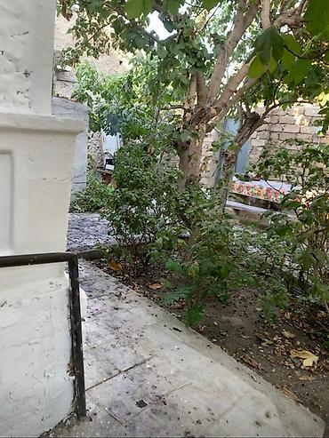 Günlük kirayə evlər: Həyətyanı sahəsi olan kiçik ev - Həyətdə şaquli dayaqlı — 5