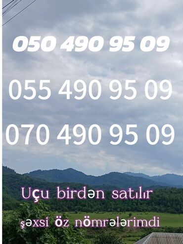 telefon aksesuarı: Номер: ( 050 ) ( 4909509 ), Б/у