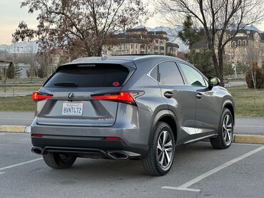 Lexus: Lexus NX: 2019 г., 2 л, Автомат, Бензин, Кроссовер — 18