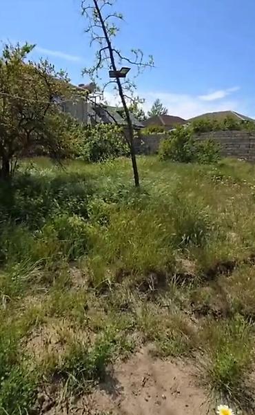 Torpaq sahələrinin satışı: 3 sot, Tikinti, Barter mümkündür, Kupça (Çıxarış) — 3