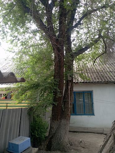 мешковина бишкек: Срочно продаю