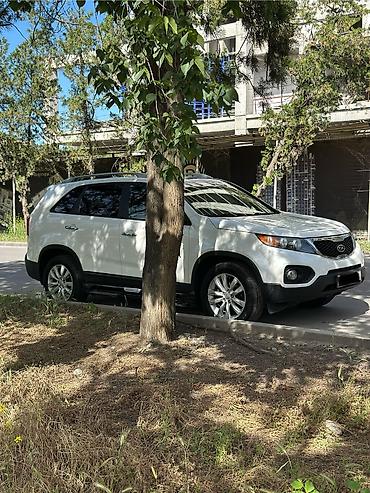kia sarento: Kia Sorento: 2010 г., 2 л, Автомат, Дизель, Кроссовер — 5