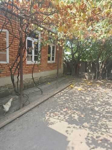 imişlidə kirayə evlər: 4 otaqlı, 77 kv. m, Kredit yoxdur, Orta təmir