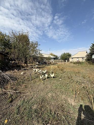 Продажа коттеджей и домов: 📍 В Гавриловке продается дом на учвстке 13.4 соток, 100 кв.м. 🏡Дом с — 4