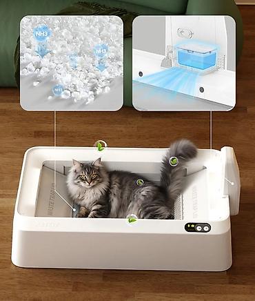 pişik şəkilləri çəkmək: 🐱 Petkit Purobot Crystal Duo With Camera (P9905) – Ağıllı Özünü — 8
