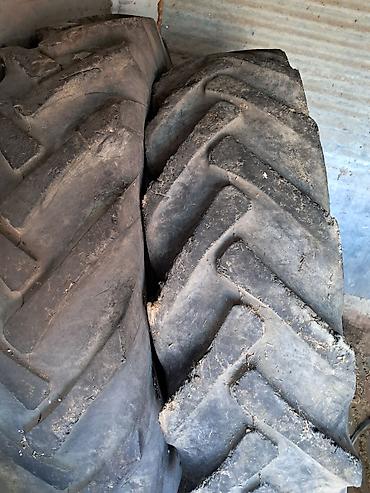 Təkərlər: T-28 ARXA TƏKƏRİ 13/36 - Növ: Traktor/aqrotexnika üçün arxa şinlər - — 1