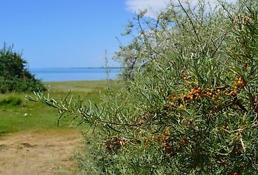обмен дома: 22 соток — 5