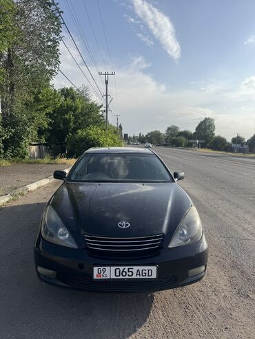 тайота инспаер: Toyota Windom: 2003 г., 3 л, Автомат, Газ, Седан