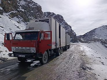холодильник на даф: Тягач, Камаз, Холодильник, рефрижератор — 1