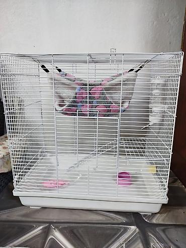Зоотовары: Продаются клетки 47.28.46. гамаки 250 сом, домики 250 сом поильники — 1