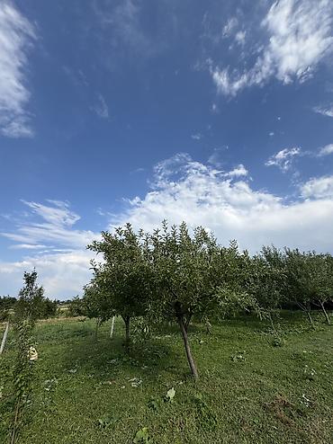 100 тыс до 200 тыс: 10 соток, Для строительства, Красная книга — 7