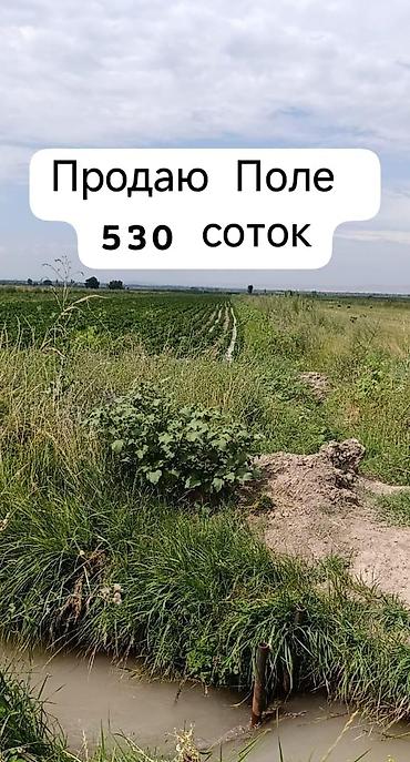 70 сом: 530 соток, Айыл чарба үчүн, Кызыл китеп, Техпаспорт — 1